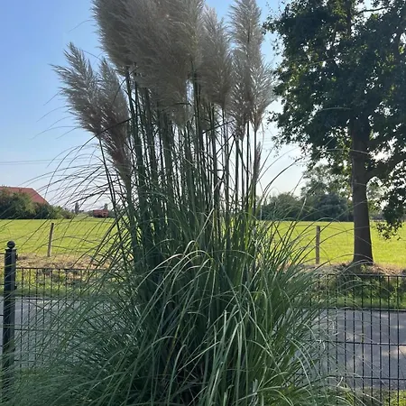 Ferienhaus A12 Rote Haus Am Haff Ostseebad Rerik *